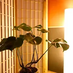 Zero Inn Gion Sanjo - Vacation Stay 07544V