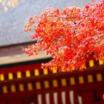 Stay Sakura Kyoto Kiyomizu Ougi