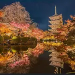 Kyoto-Toji House