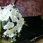 Corpo Kazehaya 205 - Vacation Stay 14603V