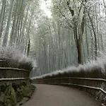 Eph Kyoto