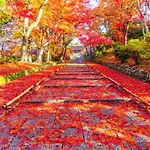 Eph Kyoto