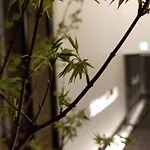 Kyoto - House - Vacation Stay 41844V