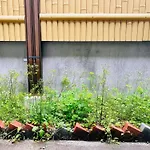 Kokoro No Sato Ume - Vacation Stay 63204V