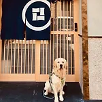 染 Sen 五条上長 Gojo Kamicho