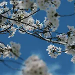 -時の宿 二条- 二条城前駅 Toki Nijo Roomb