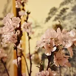Kamogawa Nanajo