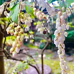 京苑 Kyoen 京町家