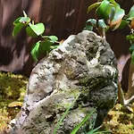 Kyoto - House / Vacation Stay 40895