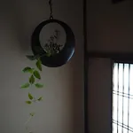 Izuyasu Traditional Kyoto Inn Serving Kyoto Cuisine