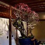 Cozy House312 Free Wifi A Rented Electric Bicycle
