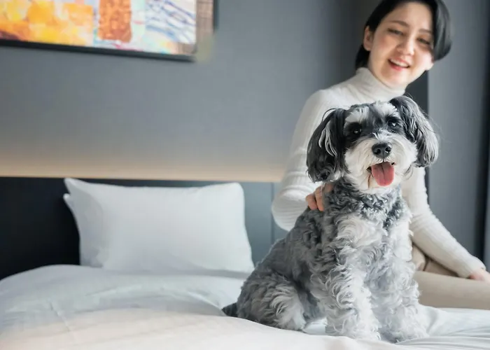 Hotel Anddoggy Kyoto Nijo