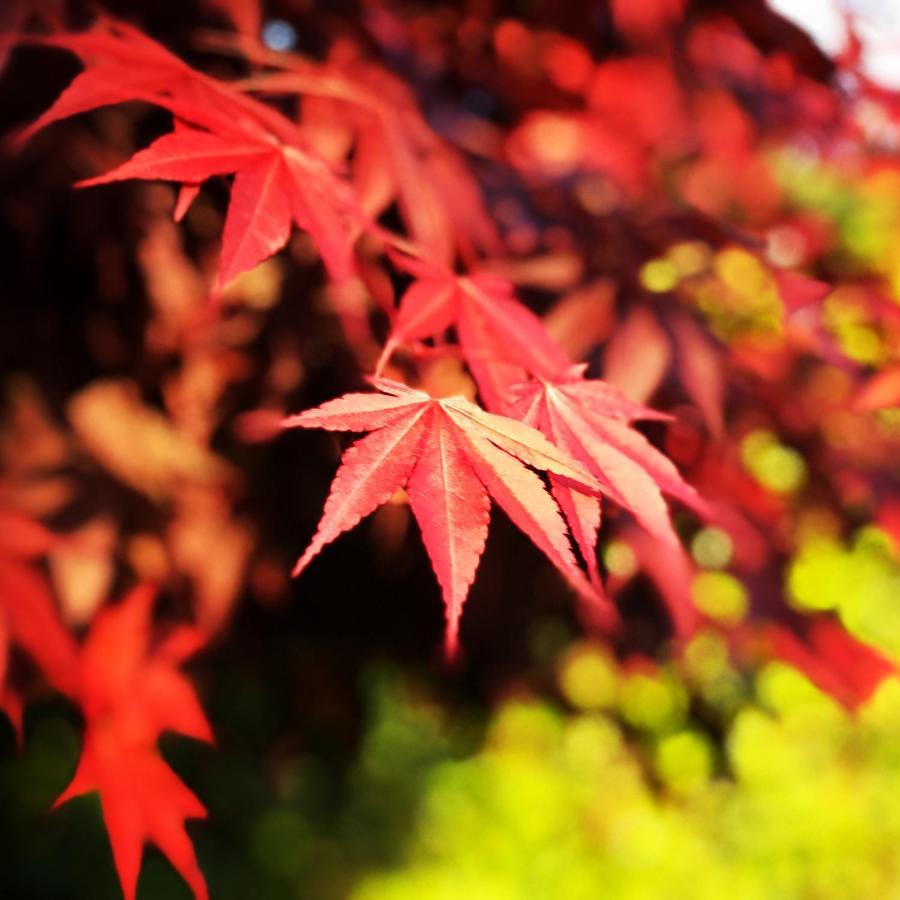 Holiday home Ohara Sensui Surrounded By Beautiful Nature *