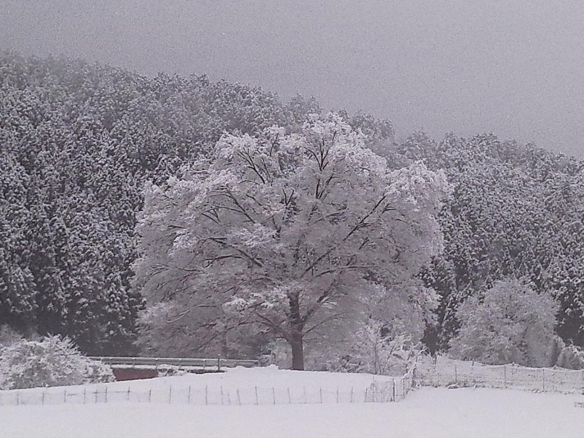 Tokuheian Country house Kyoto