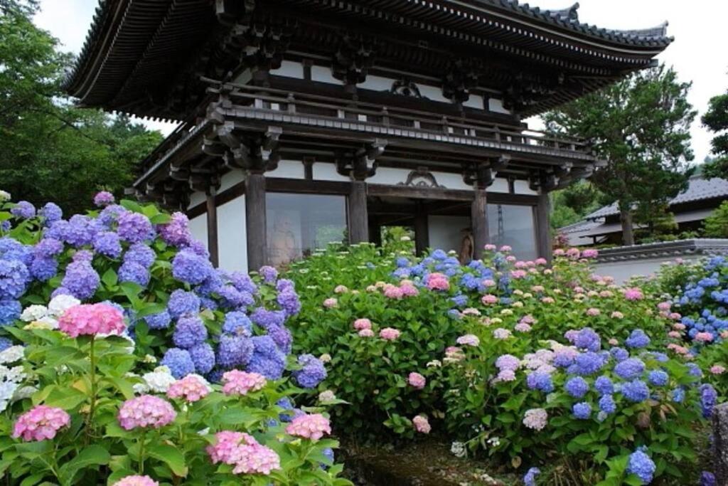 Sanzen Ya さんぜんやきょうと- Cozy Art Space For Lover Of Travel - Kyoto