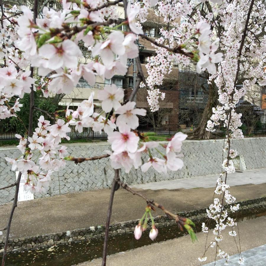 Sanzen Ya さんぜんやきょうと- Cozy Art Space For Lover Of Travel - Holiday home *
