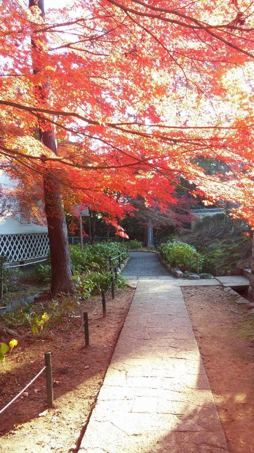 Sanzen Ya さんぜんやきょうと- Cozy Art Space For Lover Of Travel - * Kyoto