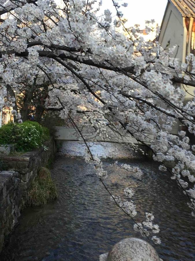 Kyomachiya Amanogawa - Vacation 69288v Kyoto