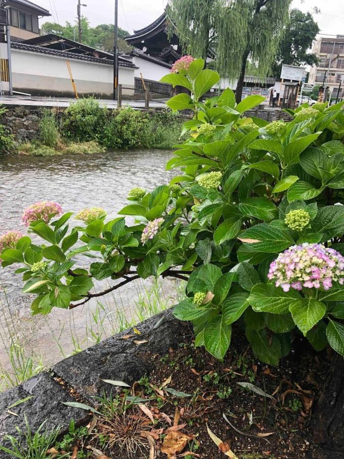 Guest house Kyomachiya Amanogawa - Vacation 69288v *