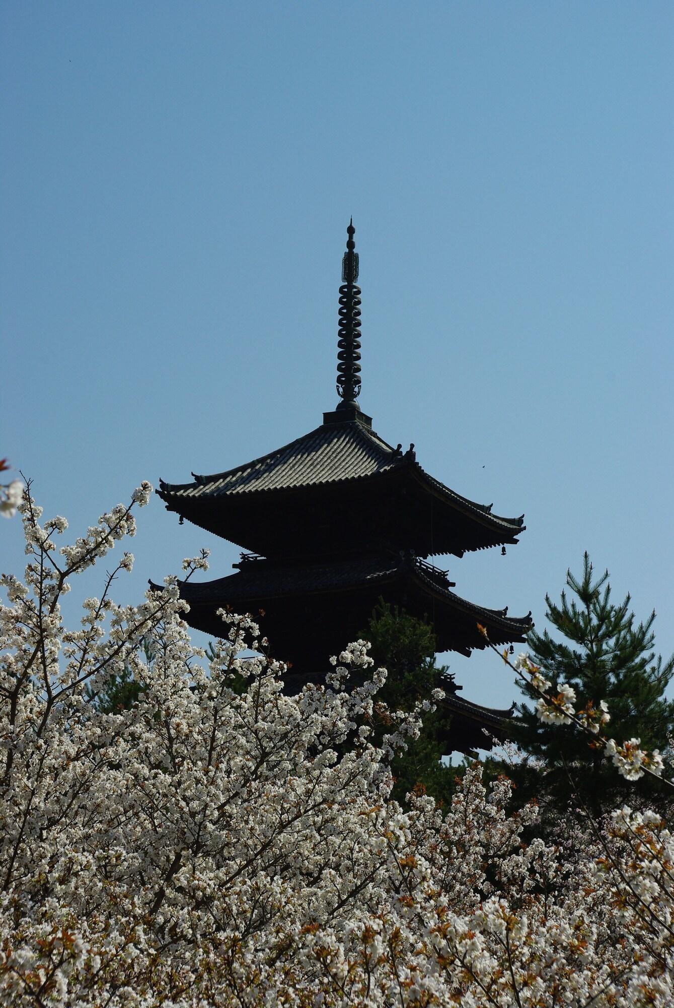 Keihan Ekiminami 4* Kyoto