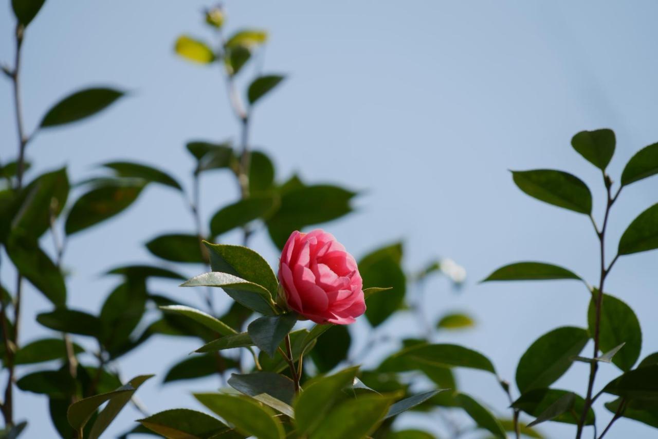 Atagoya * Kyoto
