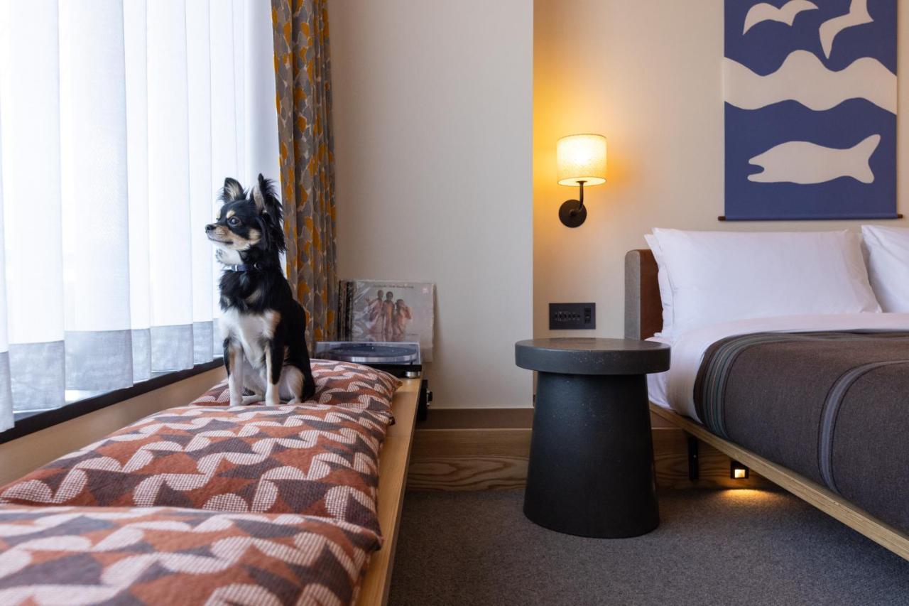 Hotel Ace