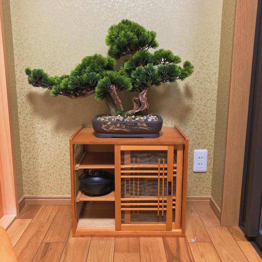 Minami Toji---jp Style In Kyoto