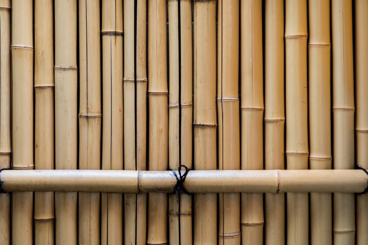 Uguisuan 鶯庵 Kyoto