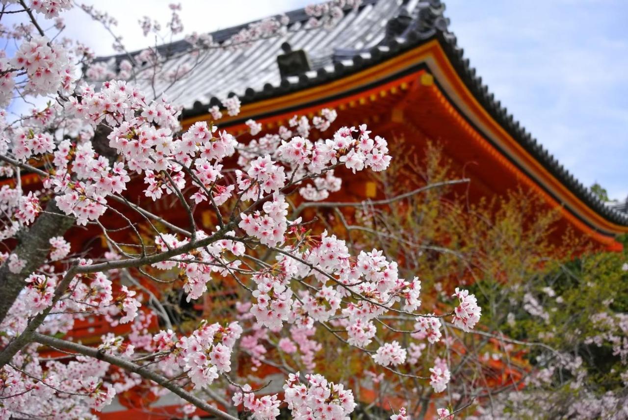 Aparthotel Sakura Fuga 3*