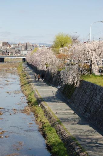 G Kyoto