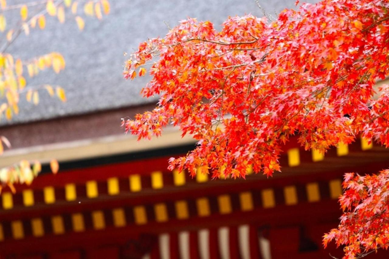 Aparthotel Sakura Kiyomizu Ougi