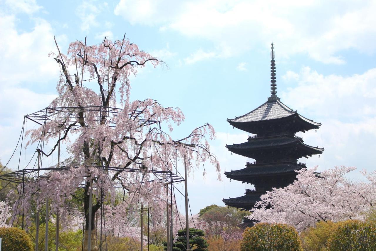 Sakura Kiyomizu Ougi Kyoto
