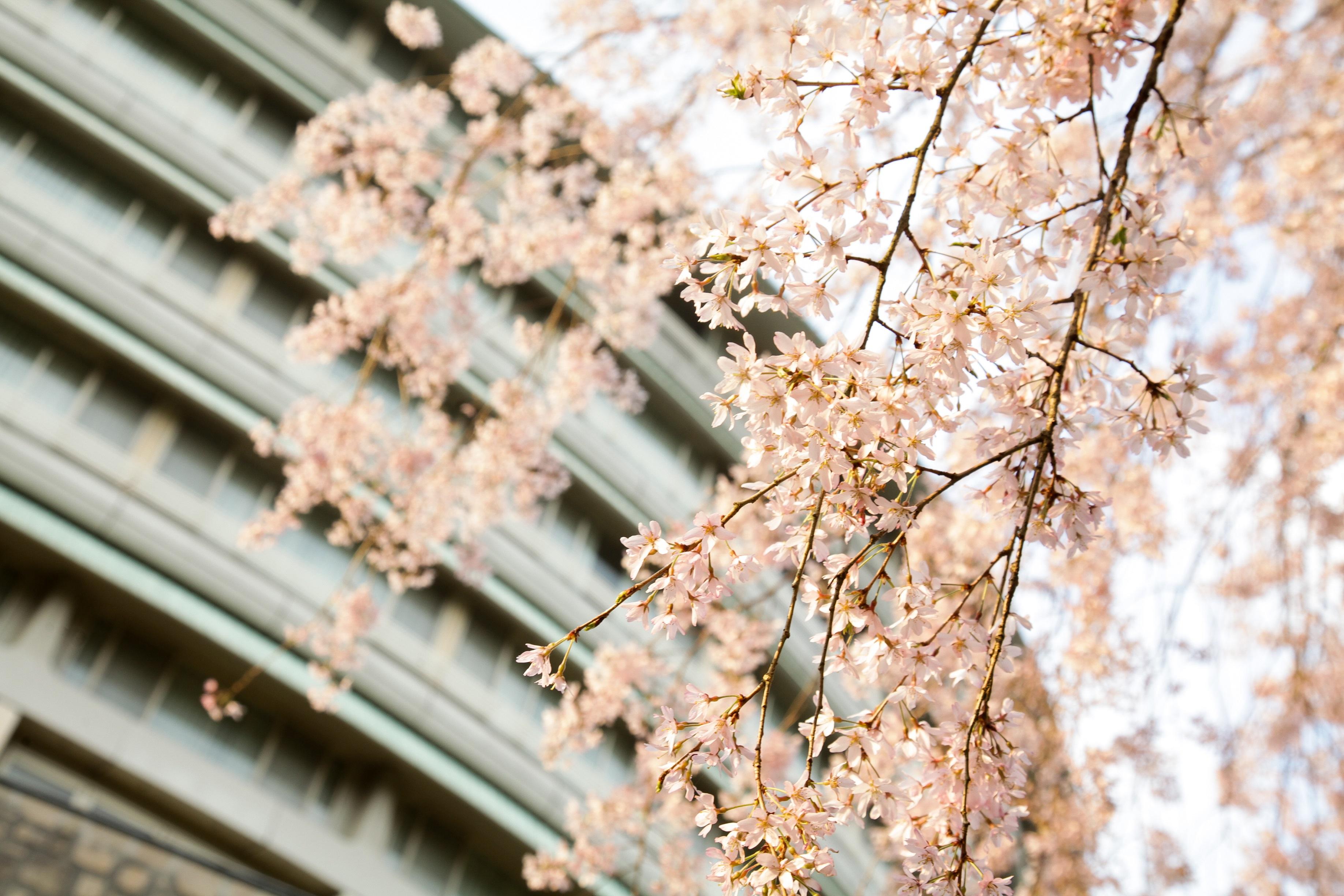 The Takaragaike, Autograph Collection Hotel