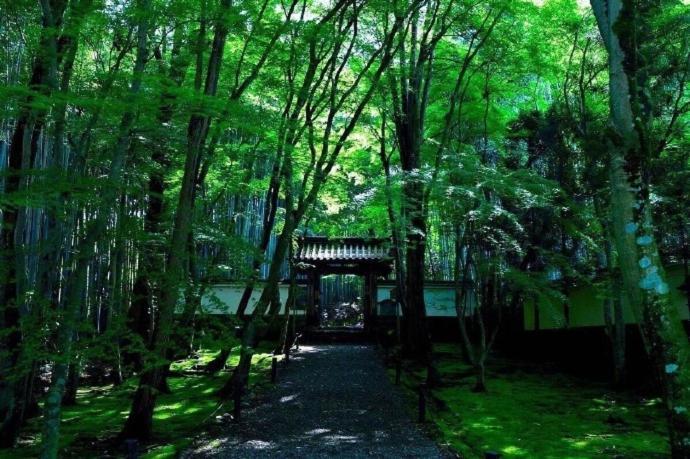 Kyoto-toji House Aparthotel