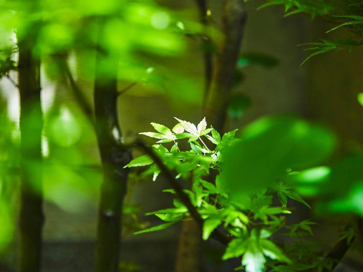 Giwon Yasaka No Yado Kyoto
