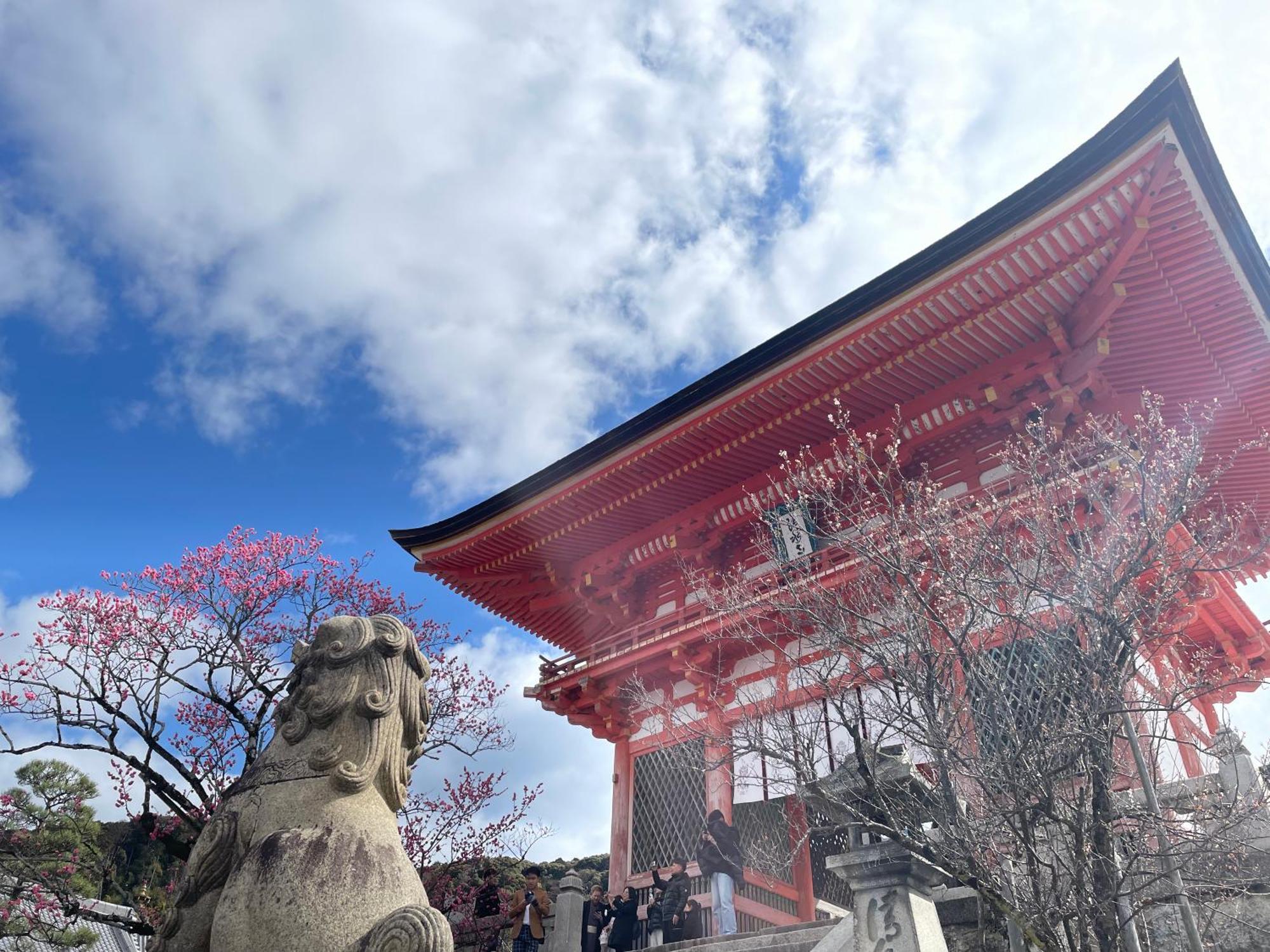 Amanek Kawaramachi Gojo 3* Kyoto