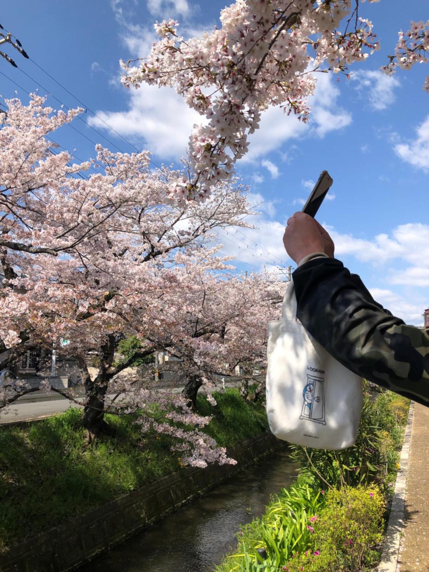 Guest house Tsubame-ya