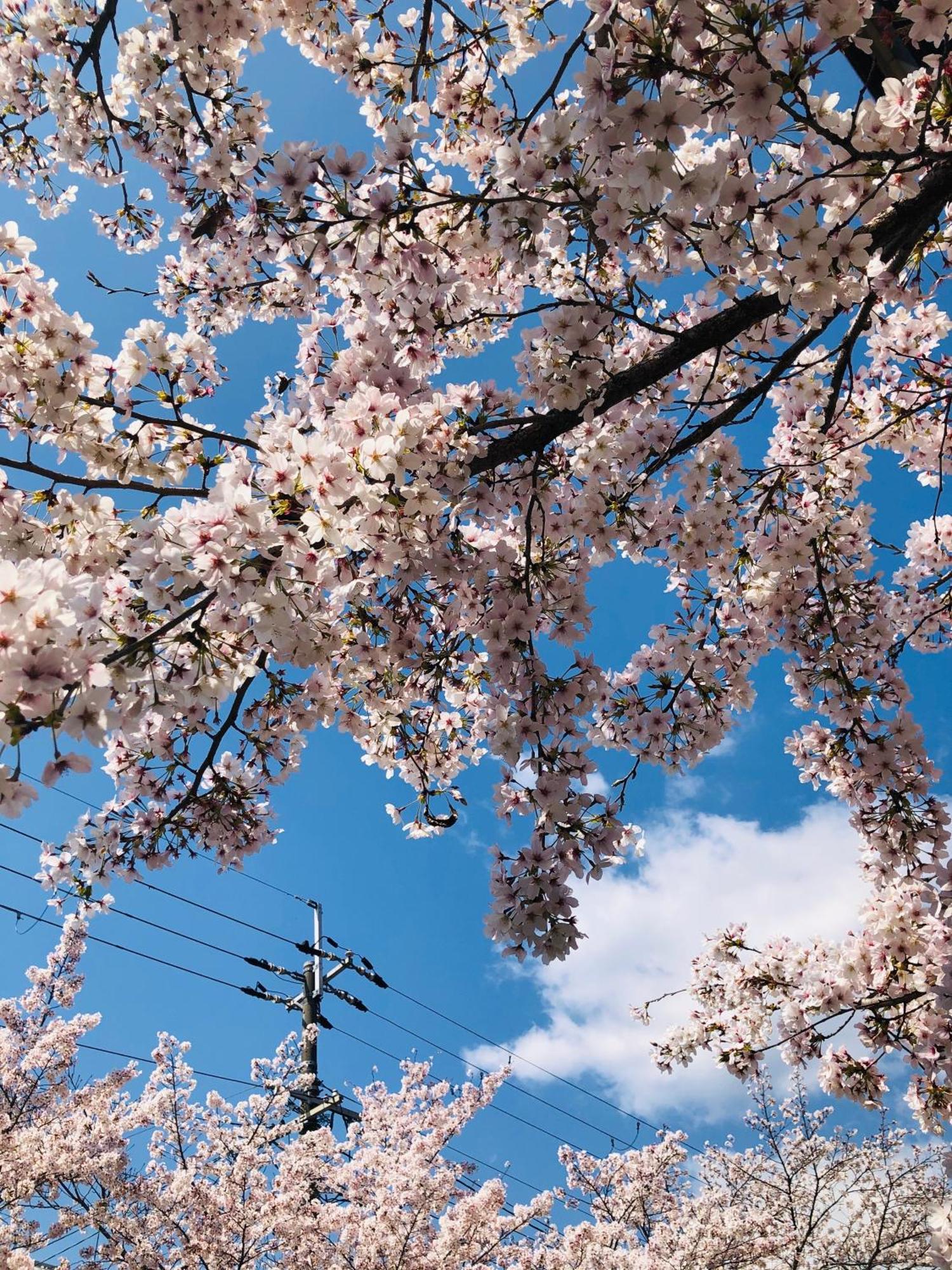 Tsubame-ya * Kyoto