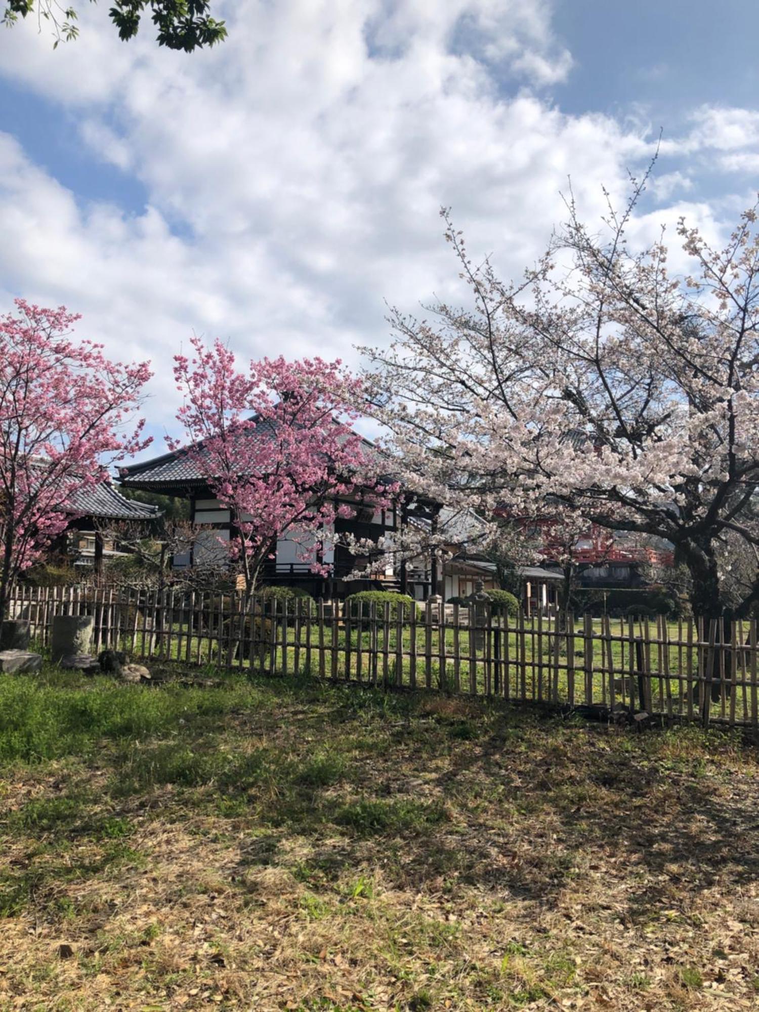 Guest house Tsubame-ya Kyoto