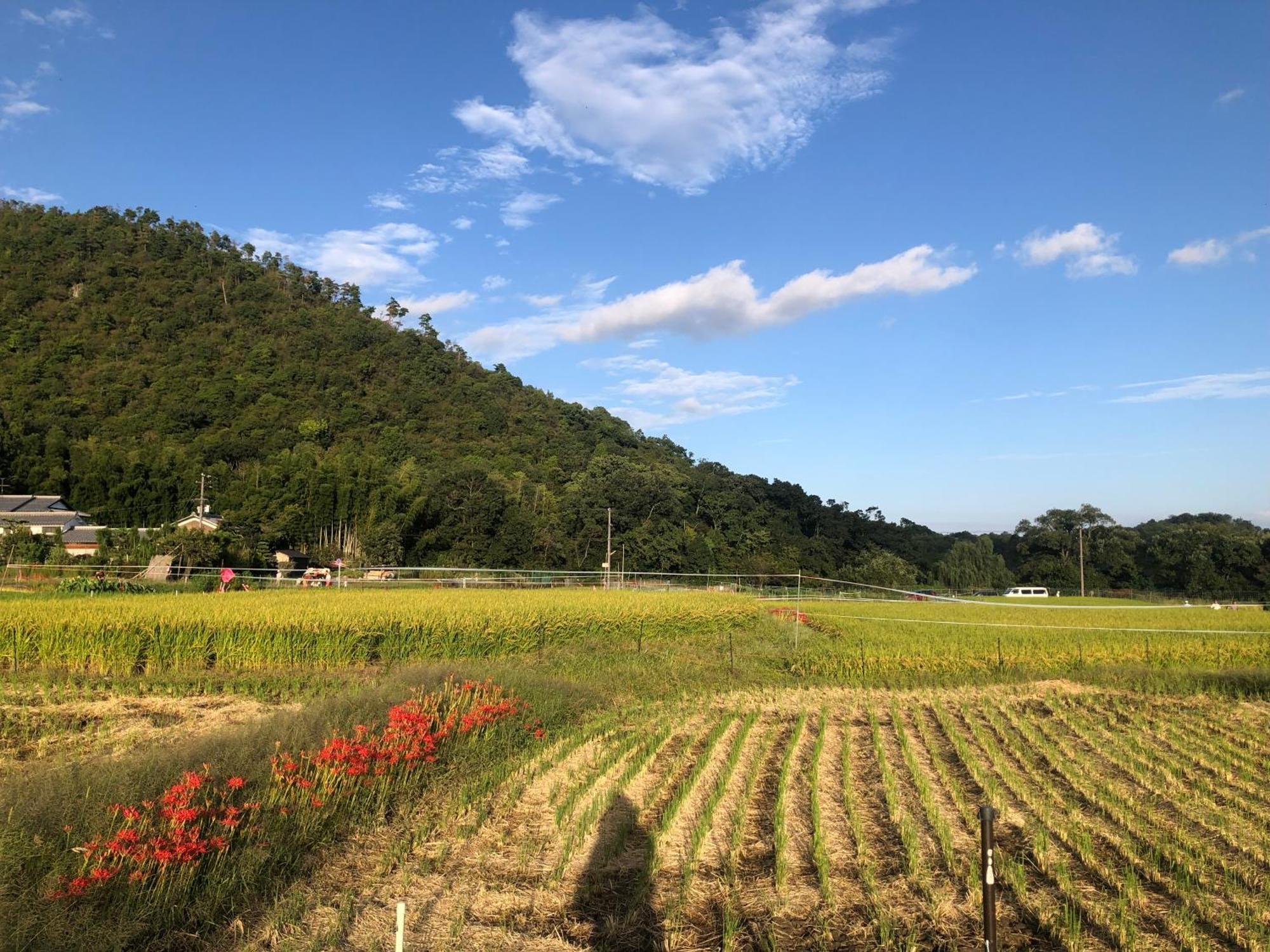 Tsubame-ya * Kyoto