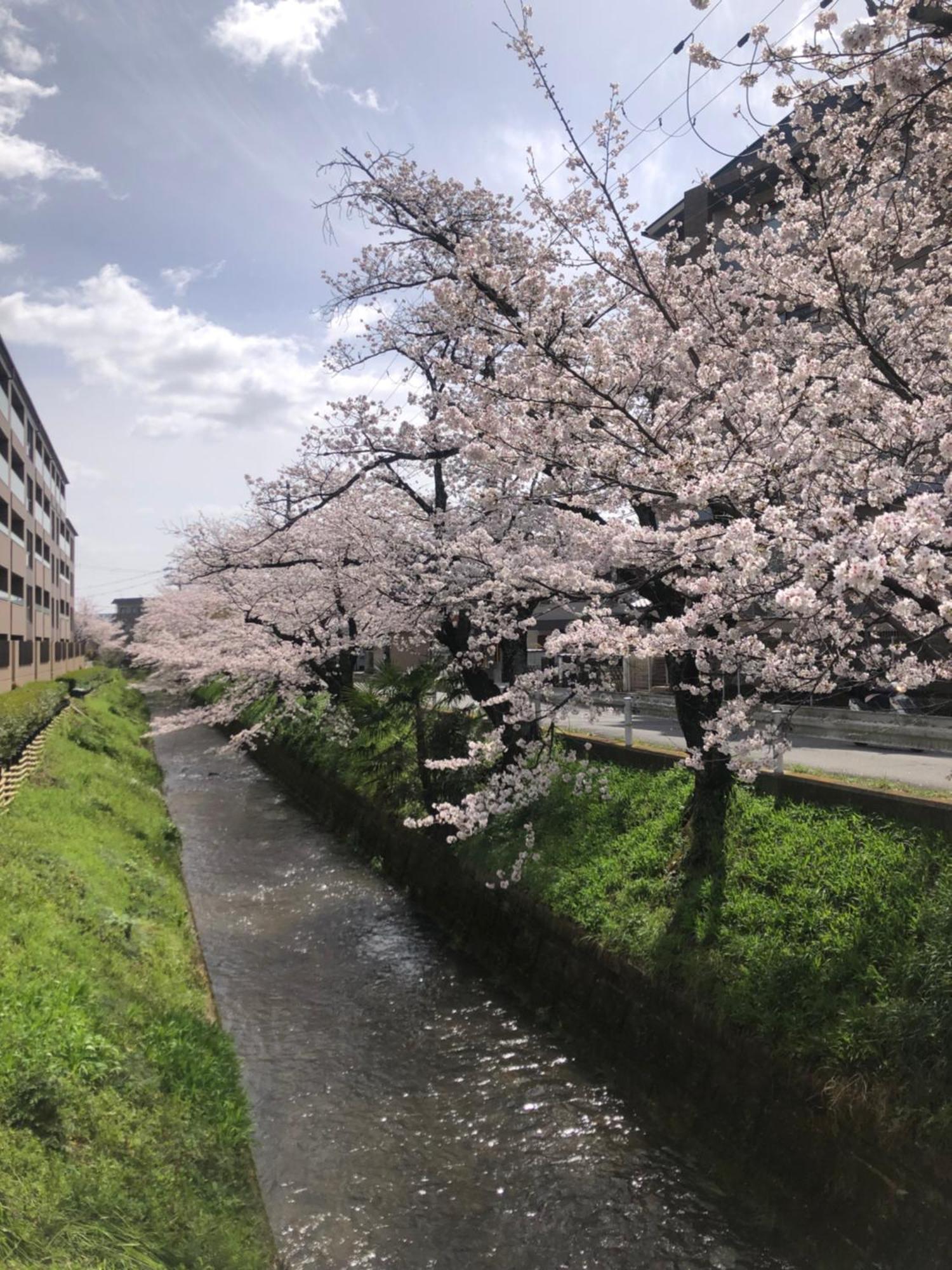 Tsubame-ya Guest house