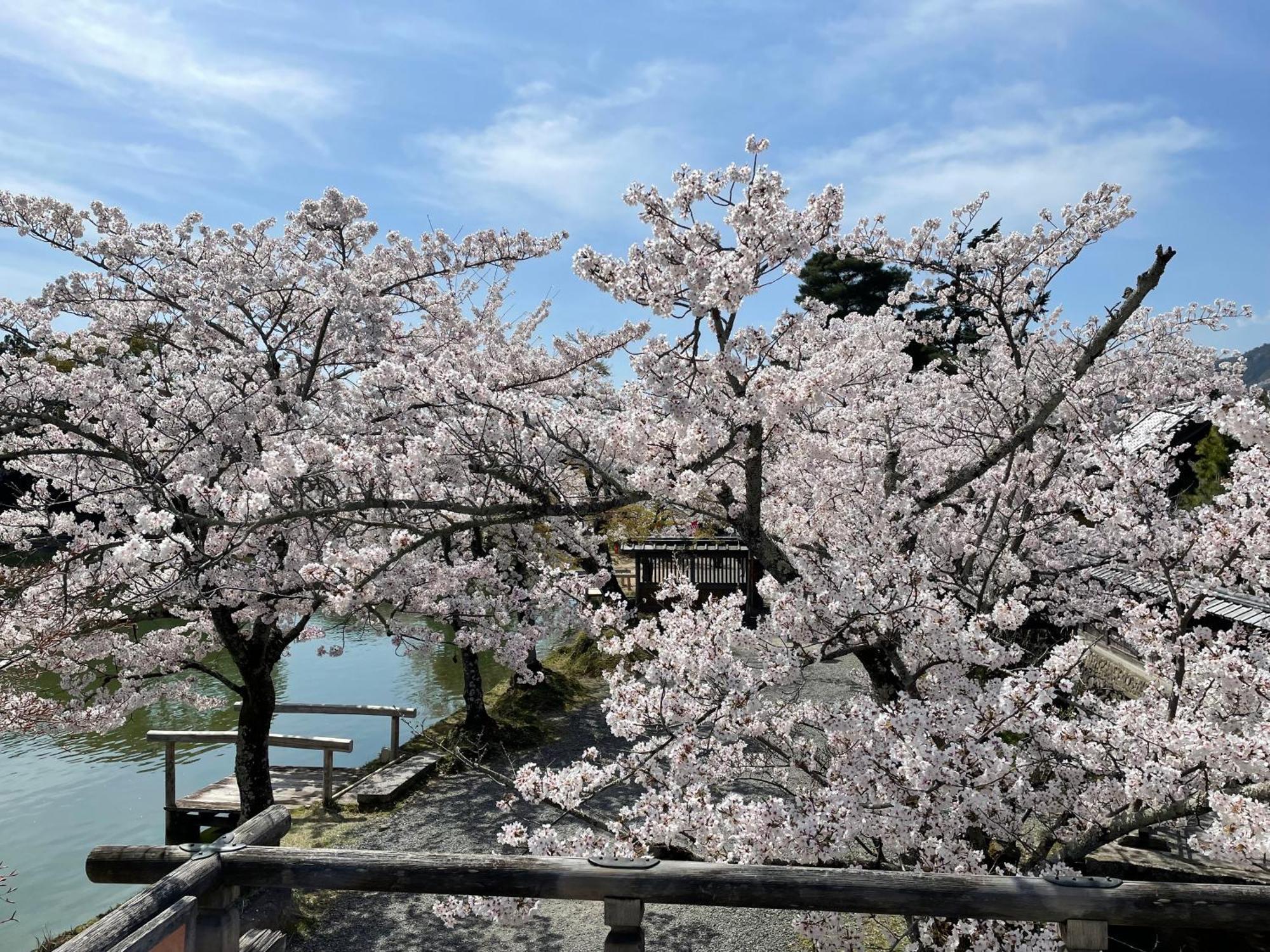 Hotel Amanek Kawaramachi Gojo Kyoto