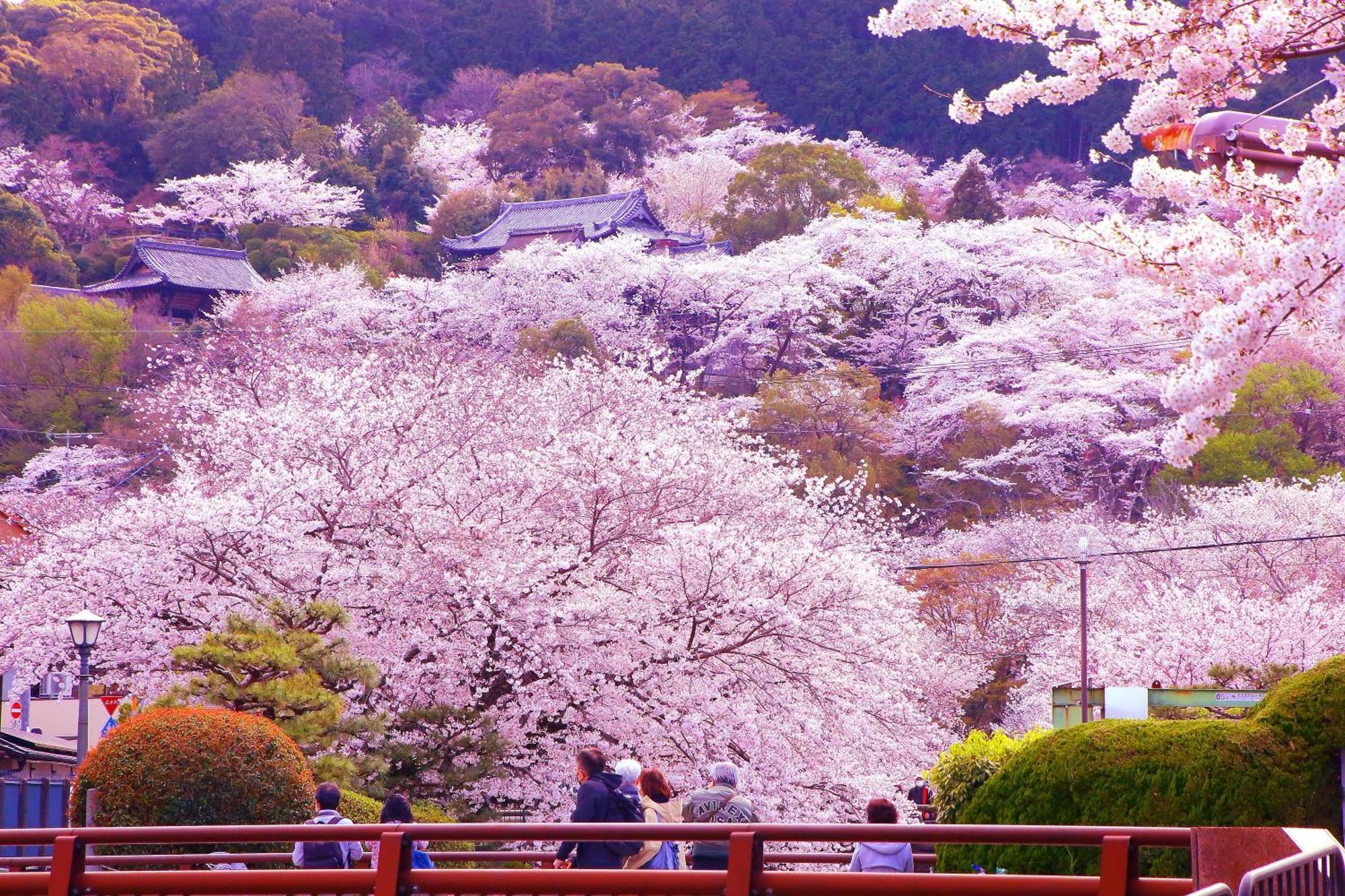 Honnoji 4* Kyoto