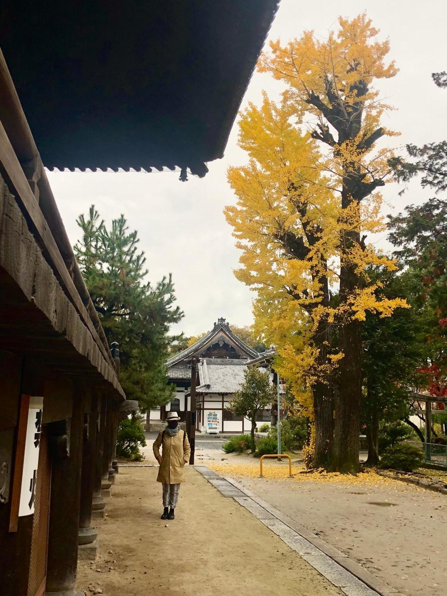 Inari-home * Kyoto