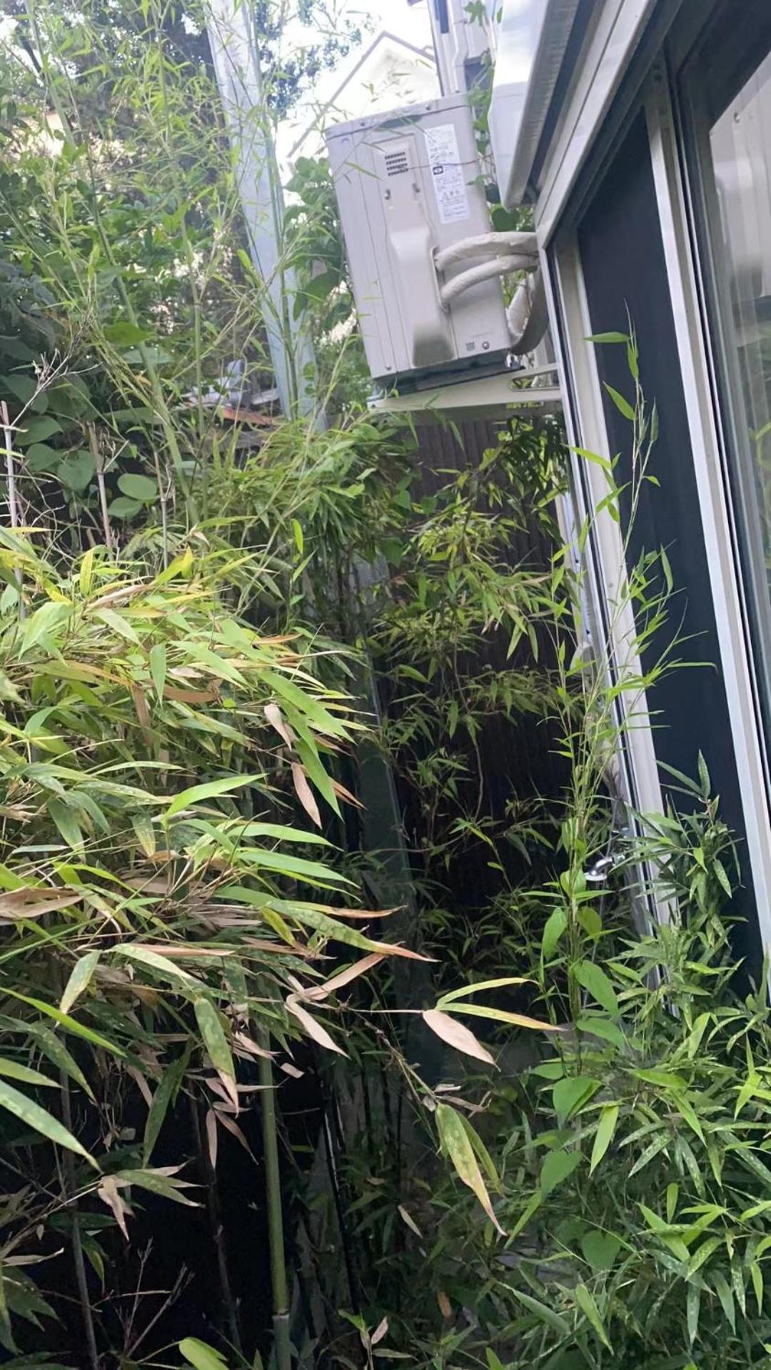 Villa 二条 秋 Designer House 新築 2ldk 1階庭付き 4人宿泊可能 Kyoto