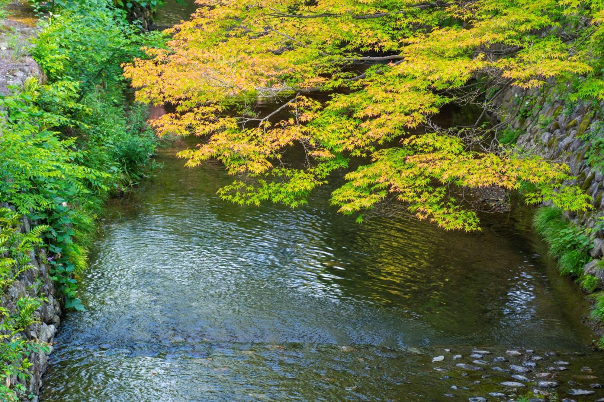 Roku Kyoto, Lxr & Resort