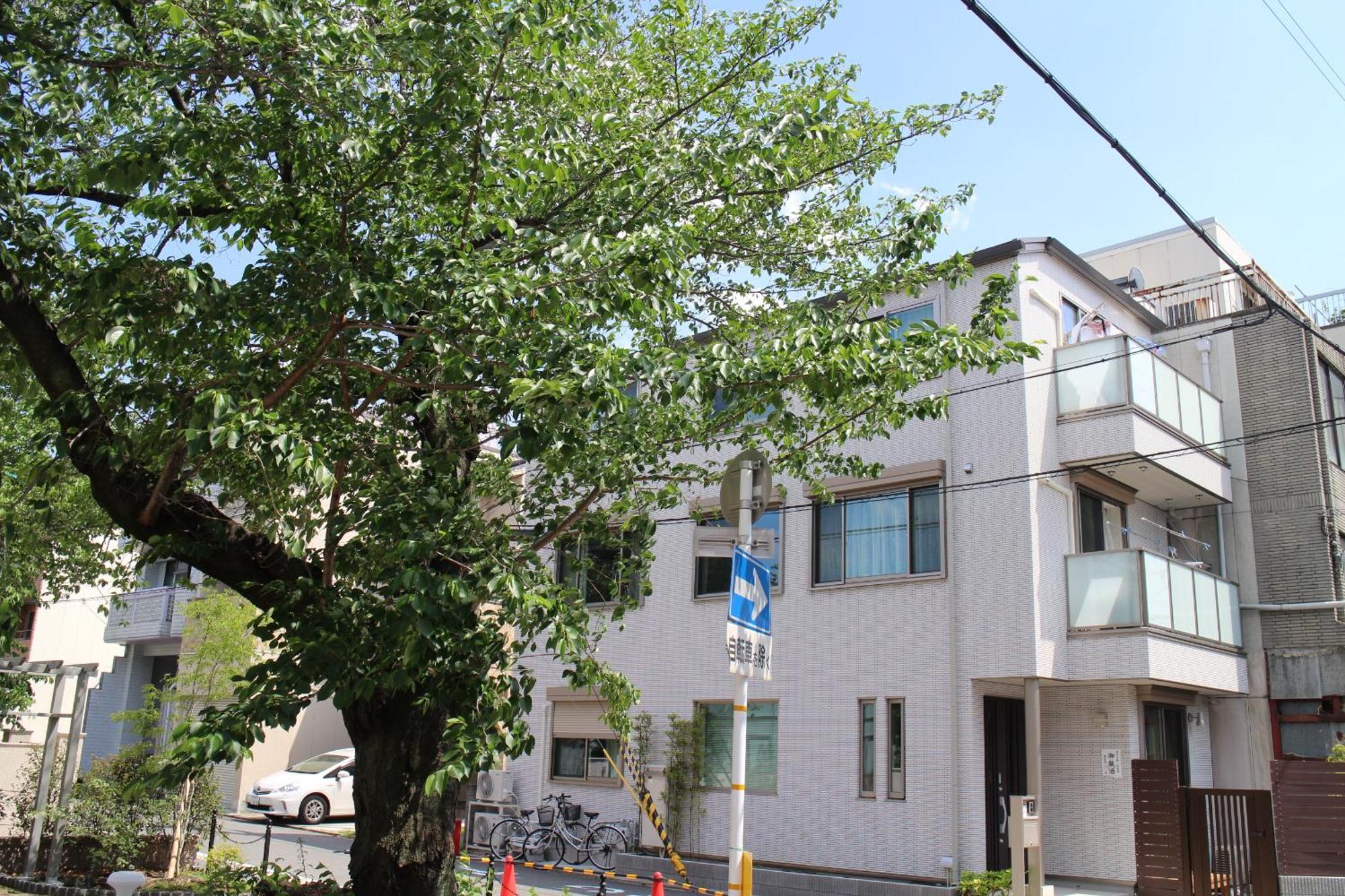 Lanlan Apartment Kyoto