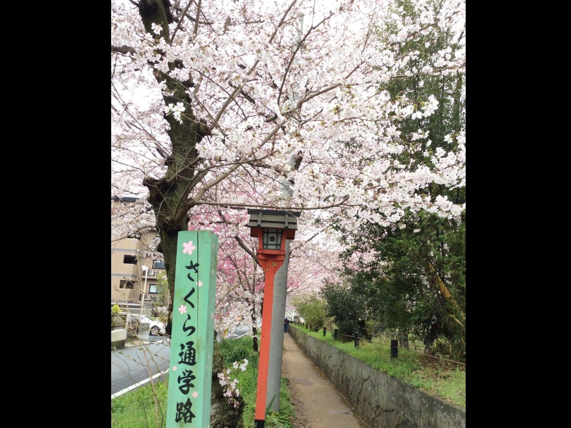 Kyounoyado Hana Nishijin - Kimono No Yado Guest house Kyoto