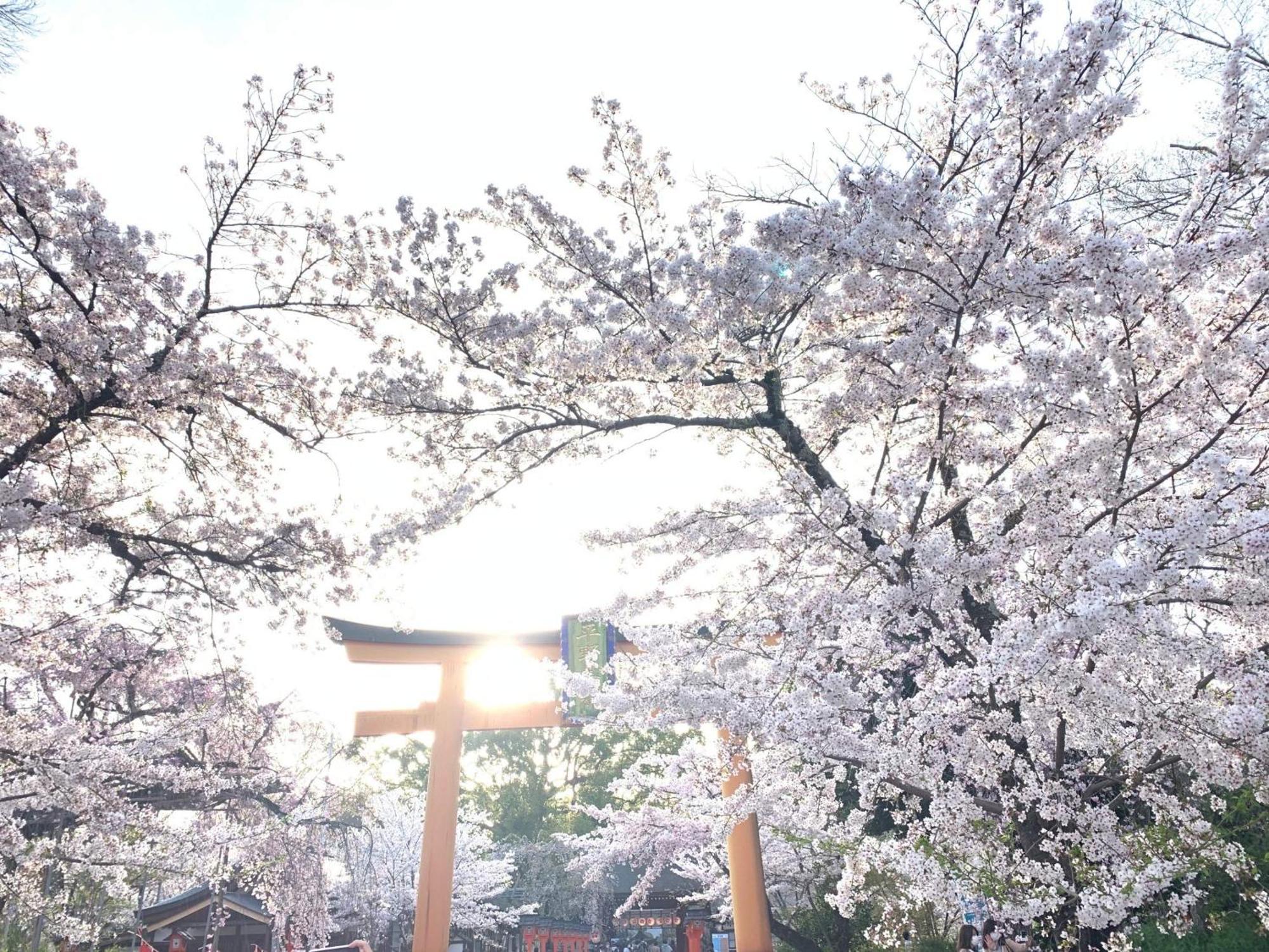 Guest house Kyounoyado Hana Nishijin - Kimono No Yado Kyoto
