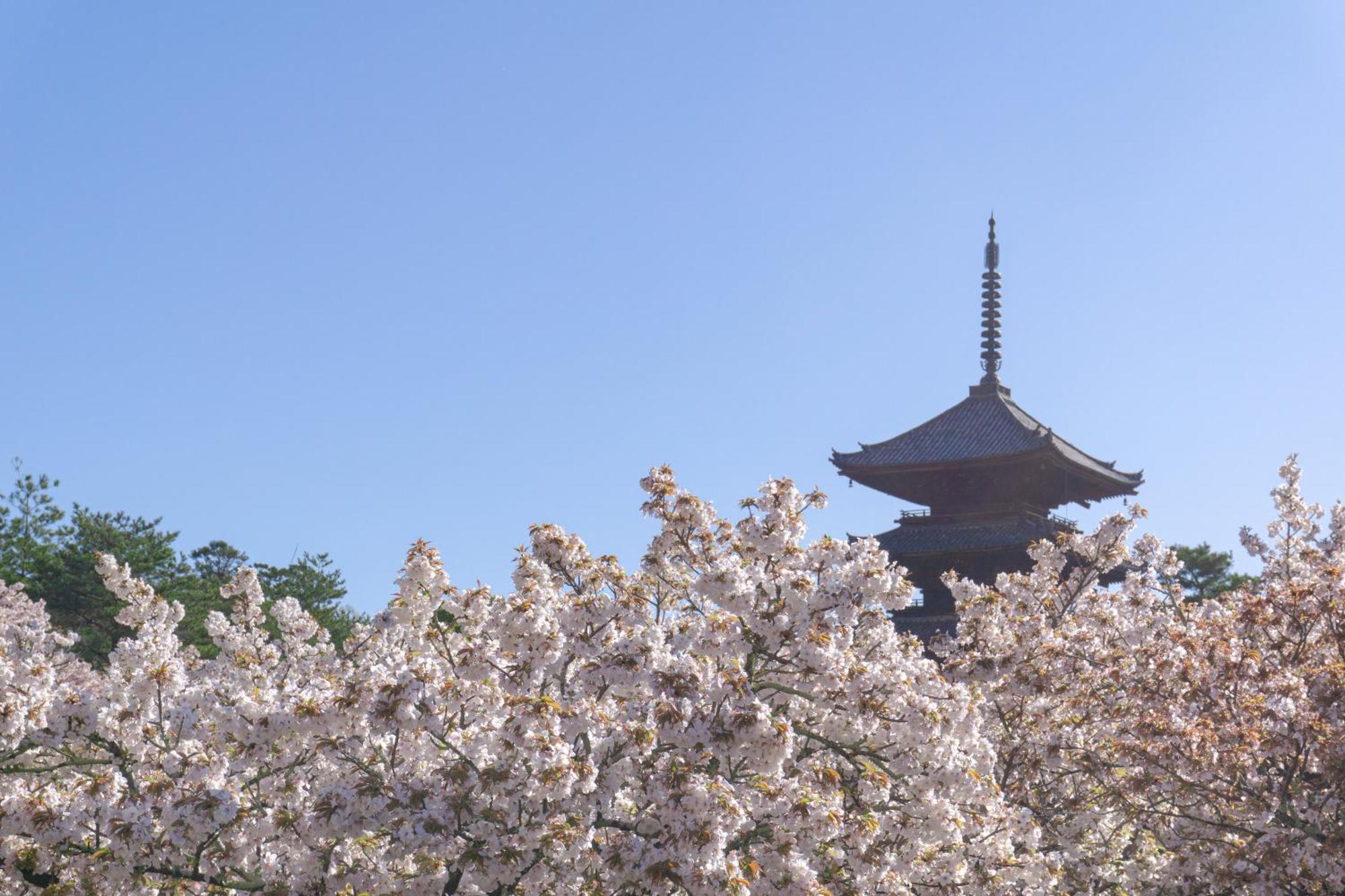Tokyu Sanjo-karasuma